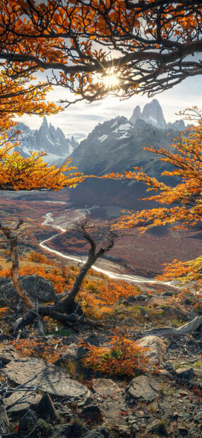Aesthetic fall wallpaper featuring a breathtaking mountain landscape with bright orange autumn trees, a winding river, and distant snow-capped peaks under a sunny sky