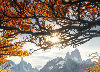 Aesthetic fall wallpaper featuring a breathtaking mountain landscape with bright orange autumn trees, a winding river, and distant snow-capped peaks under a sunny sky