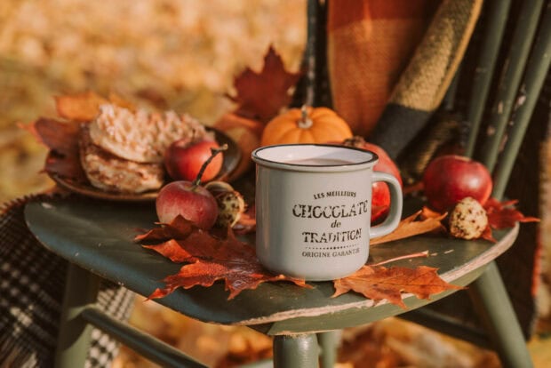 Aesthetic Fall Wallpaper showing a grey mug, red apples, and waffles on a green wooden chair with fallen autumn leaves