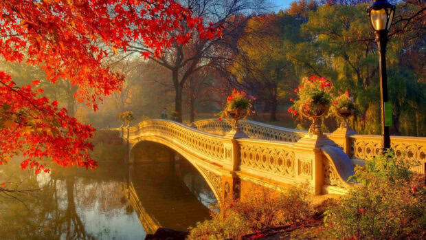 An aesthetic fall wallpaper featuring a beautiful park bridge over a pond surrounded by vibrant red and golden autumn leaves