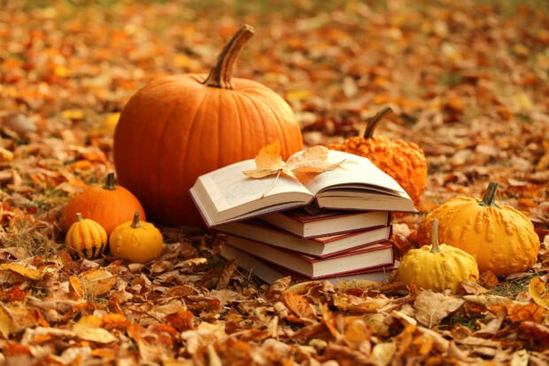 Aesthetic Fall Wallpaper showcasing a stack of books and pumpkins on a vibrant carpet of autumn leaves