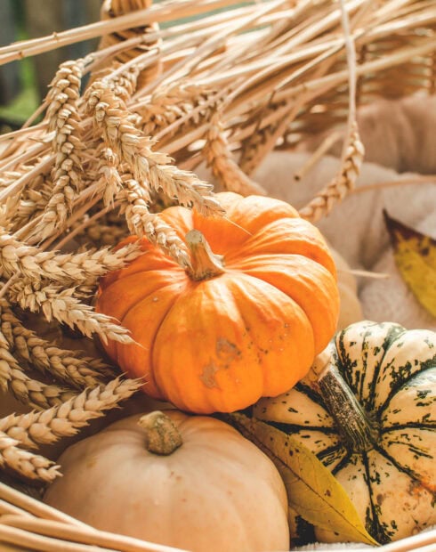 Aesthetic fall wallpaper featuring a basket filled with orange pumpkins, decorative gourds, and golden wheat stalks