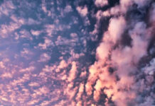 An aesthetic summer iPhone wallpaper showcasing a breathtaking sunset sky with vibrant pink and orange clouds reflecting perfectly in a calm lake