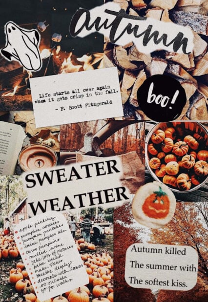 A vibrant Fall Collage Wallpaper featuring pumpkins, autumn leaves, cozy quotes, and "Sweater Weather" text, perfect for mobile screens