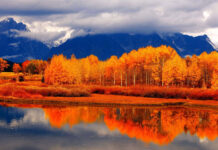 A breathtaking fall landscape wallpaper showcasing a vibrant autumn forest reflected perfectly in a serene lake with majestic mountains