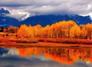 A breathtaking fall landscape wallpaper showcasing a vibrant autumn forest reflected perfectly in a serene lake with majestic mountains