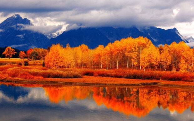 A breathtaking fall landscape wallpaper showcasing a vibrant autumn forest reflected perfectly in a serene lake with majestic mountains