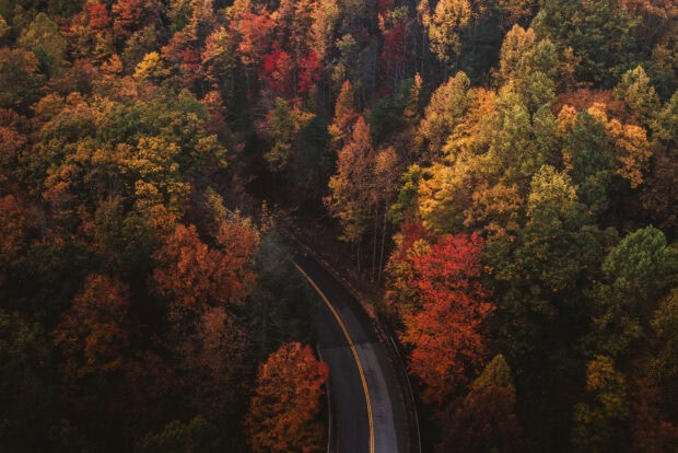 A beautiful Fall Season Wallpaper featuring an aerial view of a winding road through a vibrant autumn forest