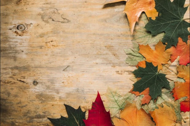 A rustic Fall Season Wallpaper showcasing various autumn leaves on a light wooden background