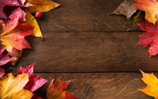 A Cozy Fall Desktop Wallpaper featuring colorful autumn leaves with water droplets on a rustic wooden table, providing ample copy space