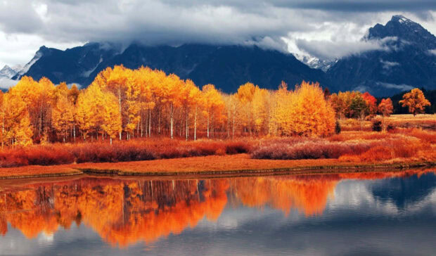 A vibrant Cozy Fall Desktop Wallpaper showing orange and yellow trees reflecting in a calm lake with dark mountains in the background