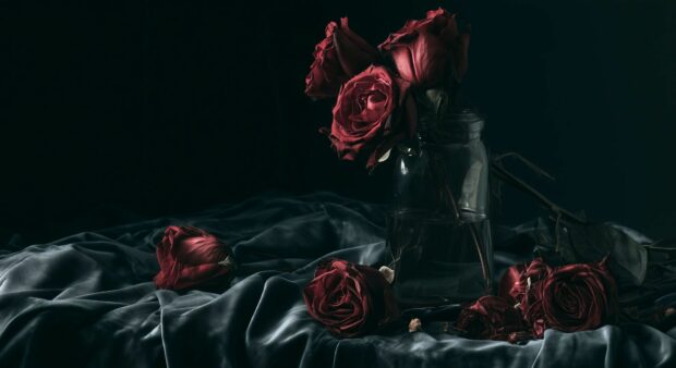 A black aesthetic wallpaper featuring a moody still life of dark red roses in a glass vase and scattered on a velvet cloth