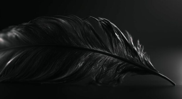 Black aesthetic wallpaper showcasing a single dark feather with intricate textures on a black background