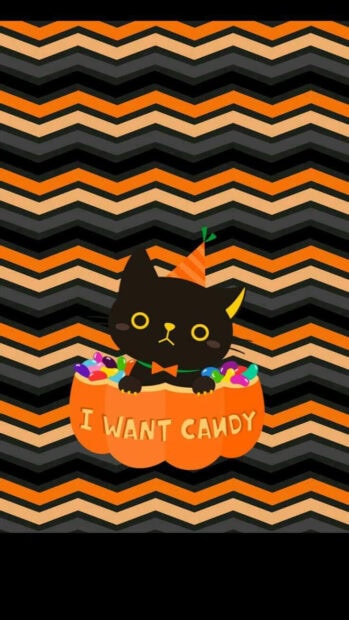 A cheerful black cat Halloween wallpaper featuring a cute black cat in a pumpkin that says 