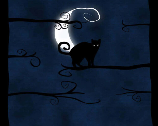 A charming black cat Halloween wallpaper depicting a cartoon black cat silhouette on a tree branch with a glowing crescent moon