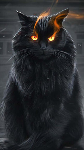A striking Black Cat Halloween Wallpaper featuring a fluffy black cat with intense glowing orange eyes and fiery ears on a dark background