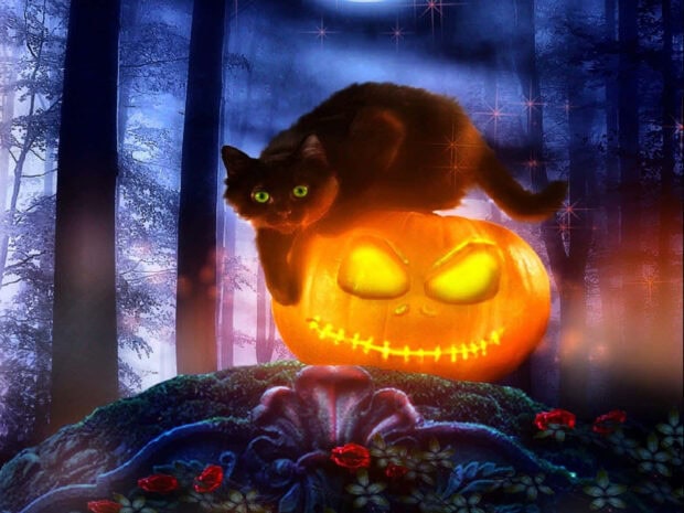 Black Cat Halloween Wallpaper with a black cat resting on a glowing jack-o'-lantern in a mystical forest