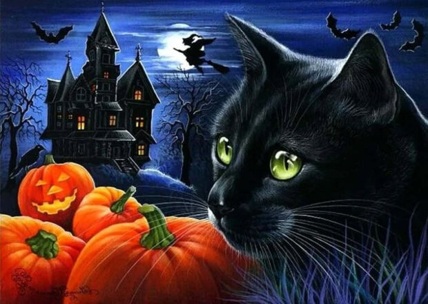 Black Cat Halloween Wallpaper depicting a black cat with green eyes in front of a haunted house with pumpkins and bats