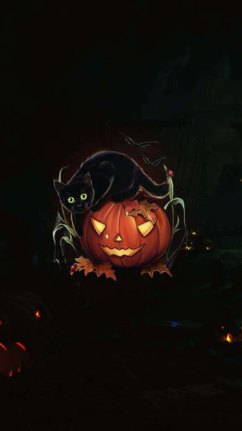 A festive black cat Halloween wallpaper showing a black cat on a carved pumpkin with spiderwebs and leaves