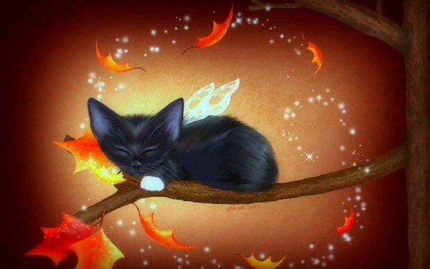 A cute black cat with glowing fairy wings is sleeping peacefully on a tree branch, surrounded by sparkling lights and orange autumn leaves, perfect for a Black Cat Halloween Wallpaper