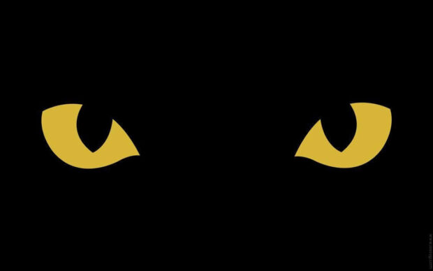 A minimalist black cat Halloween wallpaper depicting two glowing yellow cat eyes emerging from a pitch-black background