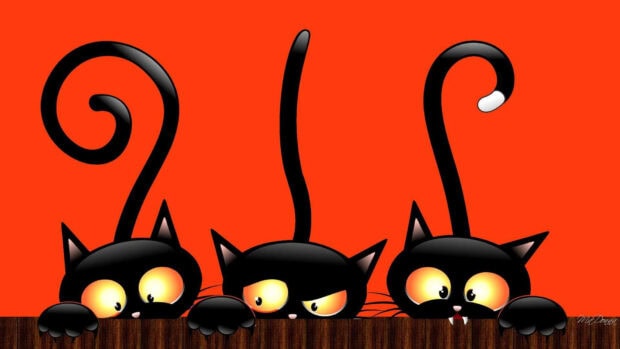 Three playful cartoon black cats with expressive eyes peek over a wooden fence on an orange background, making a fun Black Cat Halloween Wallpaper