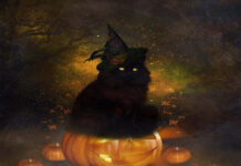A majestic black cat wearing a witch hat sits regally on a glowing jack-o'-lantern amidst smaller pumpkins, cobwebs, and sparkling lights, creating a perfect Black Cat Halloween Wallpaper