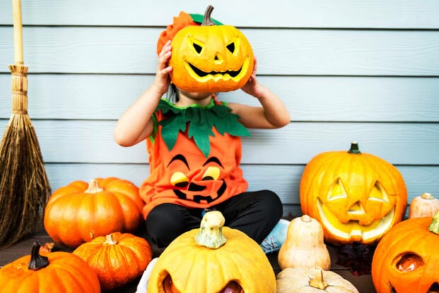 A Cute Halloween Wallpaper of a child in a pumpkin costume holding a large jack-o'-lantern over their face, surrounded by festive gourds
