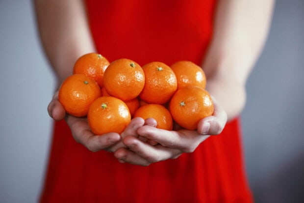 A close-up Chinese New Year wallpaper showing hands gently holding a generous pile of fresh, vibrant tangerines, symbolizing good fortune