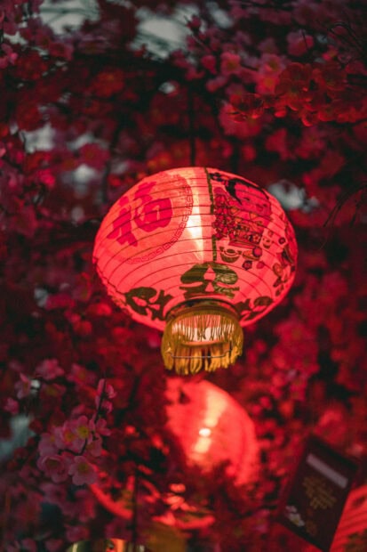 A serene Chinese New Year wallpaper featuring a glowing red lantern nestled among soft pink and red blossoms