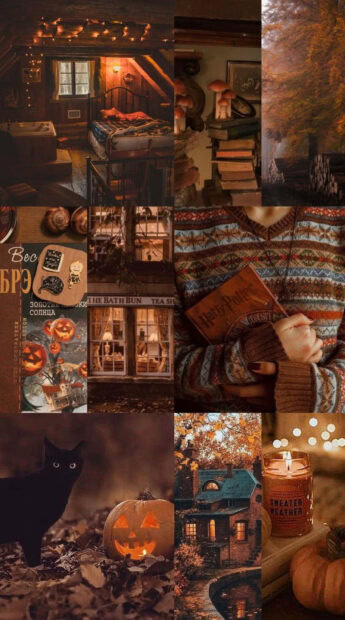 A cozy Fall Collage Wallpaper featuring a black cat, carved pumpkins, warm indoor scenes, a person reading, and autumn forest views, perfect for mobile devices