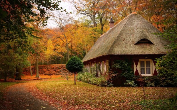 A charming cozy fall desktop wallpaper showing a quaint thatched-roof cottage surrounded by vibrant autumn trees and fallen leaves in a peaceful forest setting