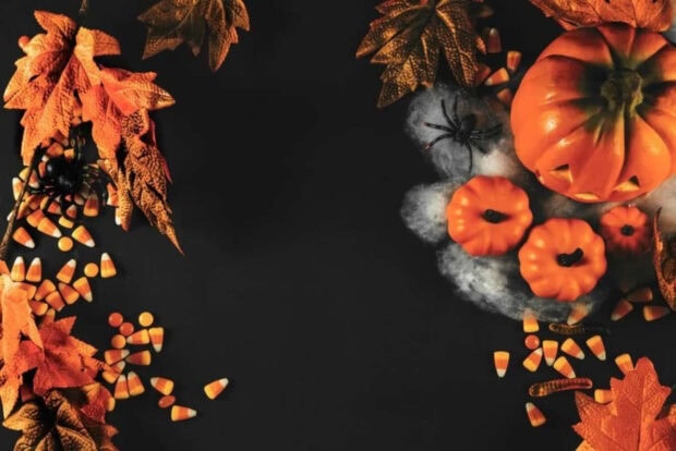 A cozy fall desktop wallpaper featuring Halloween candy corn, plastic spiders, and decorative pumpkins on a dark background
