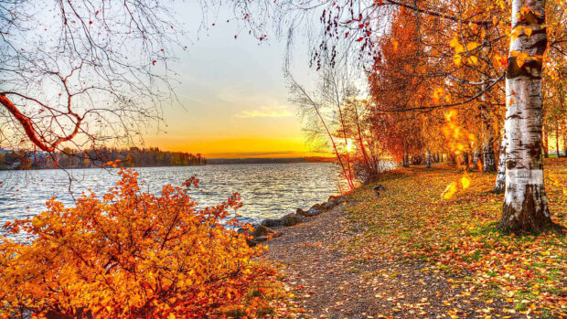 A beautiful cozy fall desktop wallpaper featuring a serene lake at sunset with autumn leaves scattered along the shore and vibrant orange trees