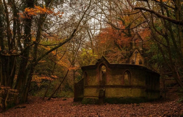 A cozy fall desktop wallpaper showing an old ruined building nestled within a dense forest with autumn leaves covering the ground