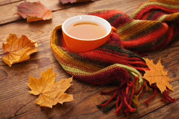 A cozy fall desktop wallpaper featuring a warm mug of tea wrapped in a colorful striped scarf, surrounded by autumn leaves on a wooden table