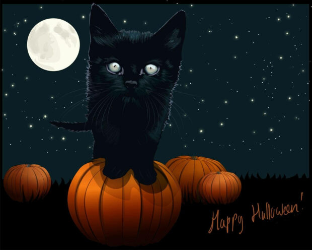 A cute black cat sitting on a pumpkin under a full moon, perfect as a Halloween Ipad Wallpaper