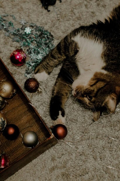 A cute Christmas cat wallpaper showing a tabby cat lying on a grey carpet surrounded by Christmas ornaments