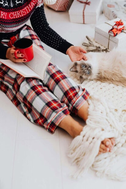 Cute Christmas Cat Wallpaper showing a person in plaid pajamas petting a fluffy cat with blue eyes near wrapped gifts
