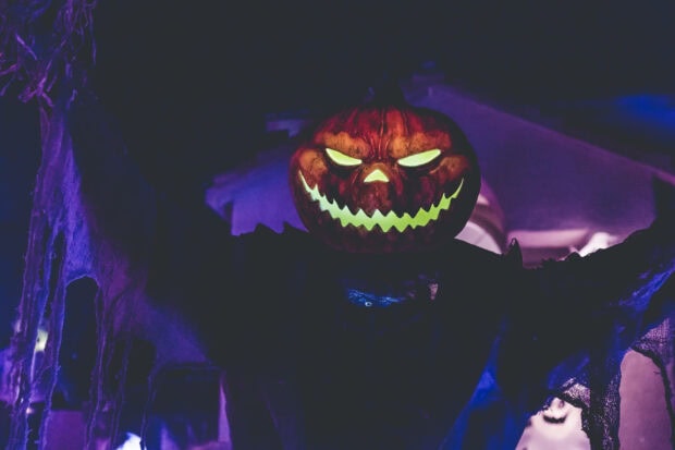 A Cute Disney Halloween Wallpaper featuring a glowing jack-o'-lantern scarecrow with eerie purple lighting in a dark setting