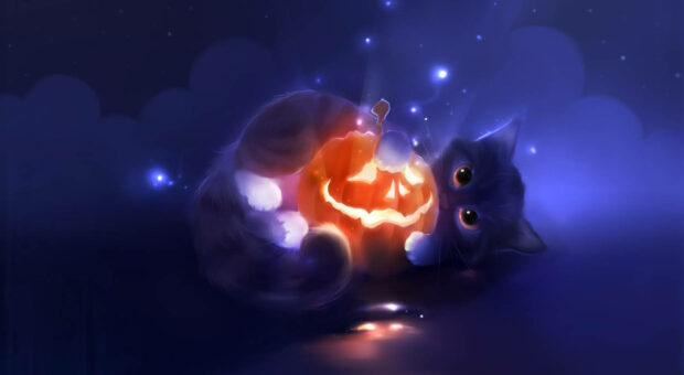 A cute Halloween wallpaper featuring a cartoon cat cuddling a glowing jack-o'-lantern amidst sparkling magic