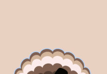 A cute Thanksgiving wallpaper featuring an adorable cartoon turkey wearing a black pilgrim hat, with "Happy Thanksgiving!" text on a clean light beige background