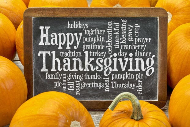 A cute Thanksgiving wallpaper showing a chalkboard with "Happy Thanksgiving" and related words, surrounded by vibrant orange pumpkins