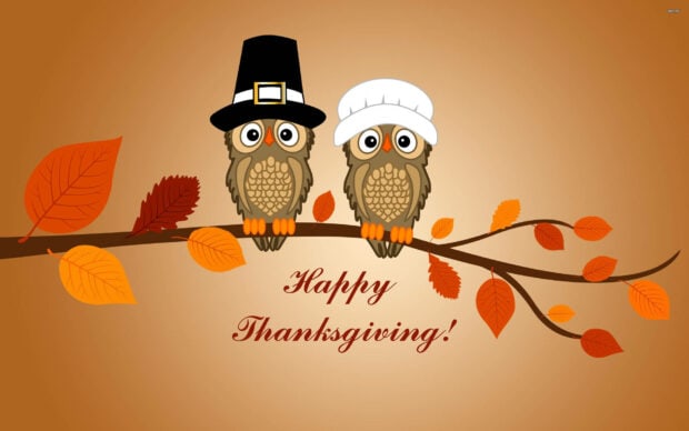 Cute Thanksgiving wallpaper featuring two cartoon owls wearing pilgrim hats on a branch with autumn leaves