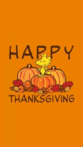 A cute Thanksgiving wallpaper featuring Woodstock sitting on orange pumpkins with autumn leaves and "Happy Thanksgiving" text on a vibrant orange background