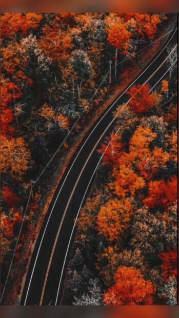 Dark Fall Wallpaper showing an aerial view of a winding road through a vibrant autumn forest with colorful trees