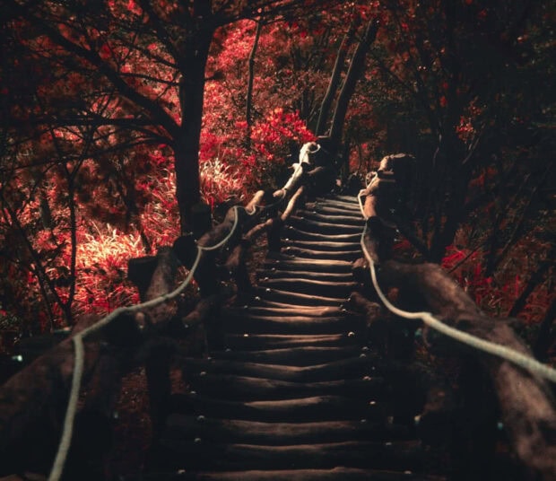 A dark fall wallpaper showing an eerie wooden bridge winding through a forest with vibrant red foliage and deep shadows