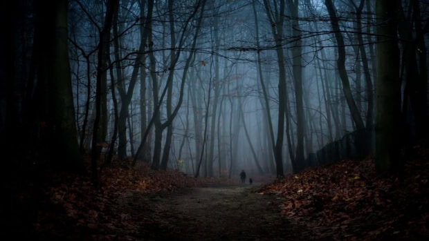 A haunting Dark Fall Wallpaper featuring a foggy, dark forest with tall trees and a solitary figure on a path