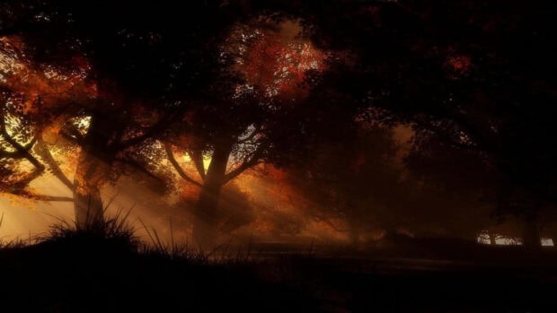 A dramatic Dark Fall Wallpaper featuring a dark forest silhouette at sunset with warm orange light filtering through mist