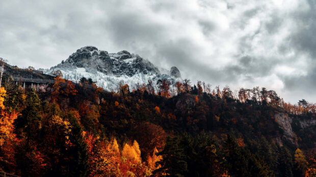 An impressive Dark Fall Wallpaper depicting a majestic snowy mountain peak towering over vibrant autumn trees under a dark cloudy sky